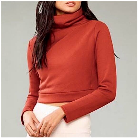 ALO Yoga Tops - Alo Rust Soleil Cropped Turtleneck Sweatshirt Sz Xs